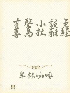 有声小说免费听喜马拉雅经典封面