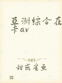 亚洲综合在线不卡av