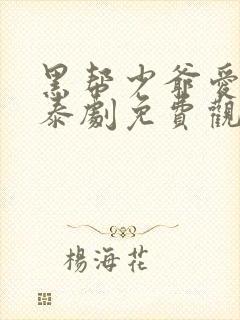 黑帮少爷爱上我泰剧免费观看封面
