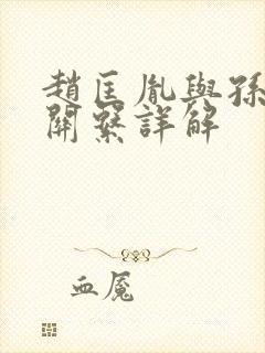 赵匡胤与孙太真关系详解
