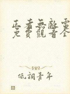 正者无敌电视剧免费观看全集