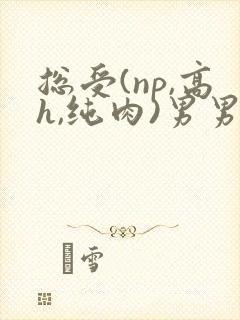 总受(np,高h,纯肉)男男文