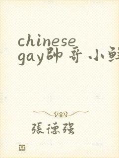 chinesegay帅哥小鲜肉
