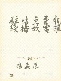 驻站免费观看在线播放电视剧封面