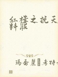 红楼之挽天倾加料版