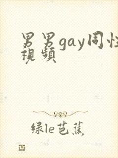 男男gay同性视频