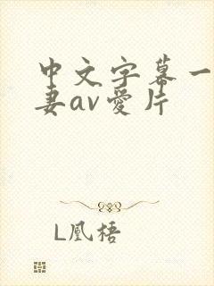 中文字幕一级人妻av爱片