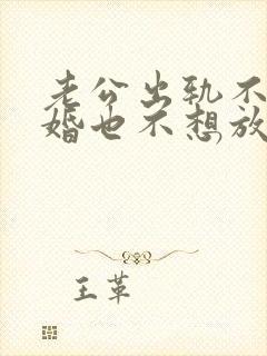 老公出轨不愿离婚也不想放弃小三封面