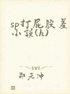 sp打屁股羞耻小说(h)