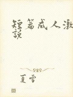 短篇成人激情小说