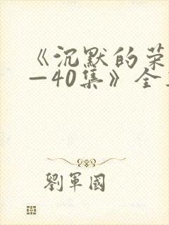 《沉默的荣耀1—40集》全集免费观看封面
