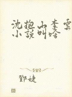 沈抱山李云舒的小说叫啥