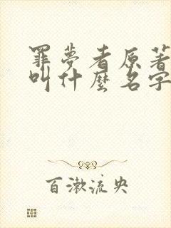 罪梦者原著小说叫什么名字