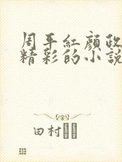 周平红颜政道最精彩的小说