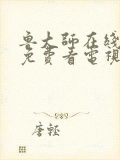 鲁大师在线播放免费看电视剧最新