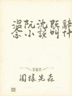 温阮沈既辞许念念小说叫什么
