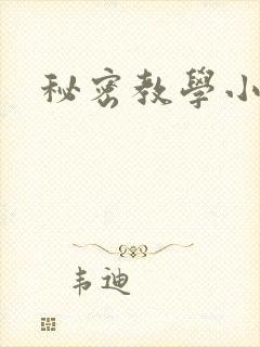 秘密教学小说