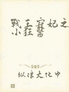 战王宠妃之倾世小狂医