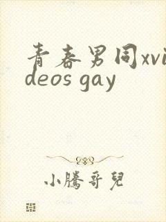 青春男同xvideos gay