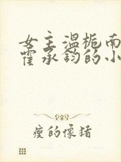 女主温栀南男主霍承钧的小说