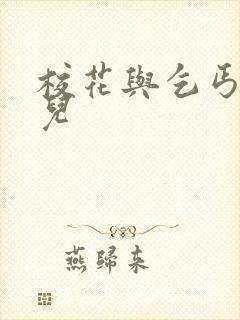 校花与乞丐黄婉儿封面