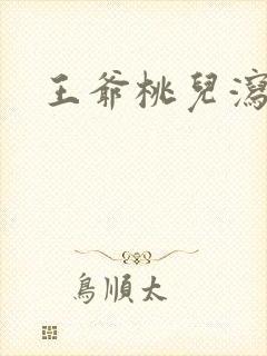 王爷桃儿泻了封面