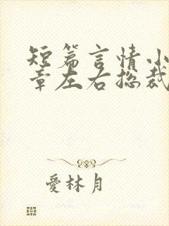 短篇言情小说十章左右总裁