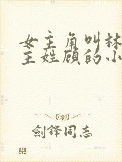女主角叫林微男主姓顾的小说