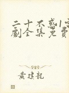 二十不惑1电视剧全集免费观看完整版