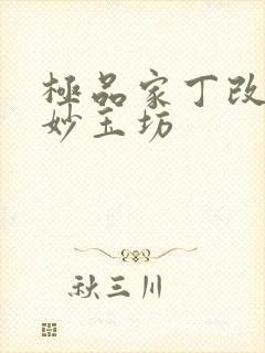极品家丁改编之妙玉坊