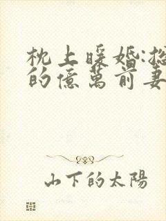 枕上暖婚:总裁的亿万前妻