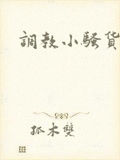 调教小骚货小说封面