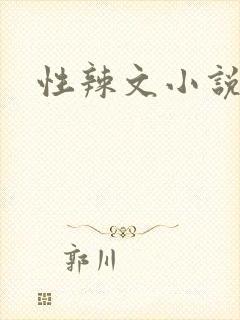 性辣文小说