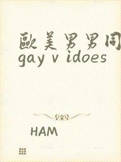 欧美男男同性恋gayⅴidoes