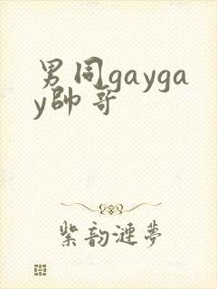 男同gaygay帅哥