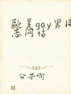 欧美gay男同志网站