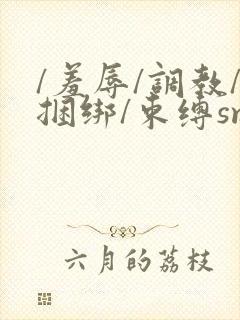 /羞辱/调教/捆绑/束缚sm在线