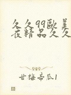 久久99欧美午夜精品久久久封面