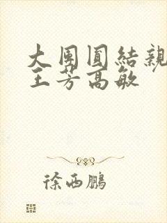 大团圆结亲情会王芳高敏封面