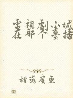 电视剧小城大事在哪个台播封面