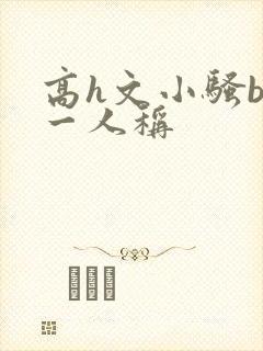 高h文小骚b第一人称