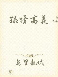 孙倩高义 小说