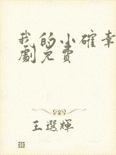 我的小确幸电视剧免费封面
