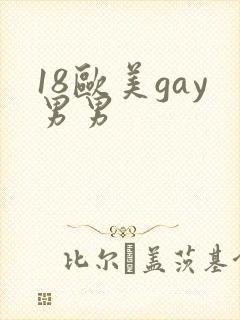 18欧美gay男男