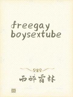 freegayboysextube