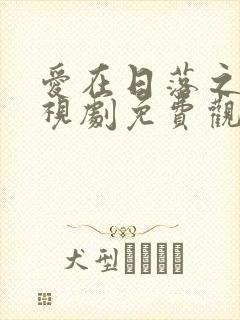 爱在日落之前电视剧免费观看