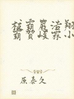 校霸严浩翔亲学霸贺峻霖小说