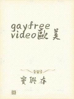 gayfreevideo欧美