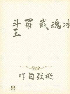 斗罗 武魂冰龙王
