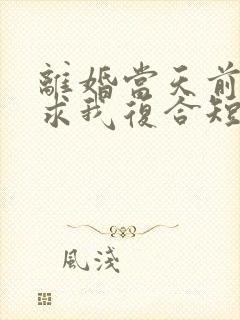 离婚当天前夫跪求我复合短剧免费结局